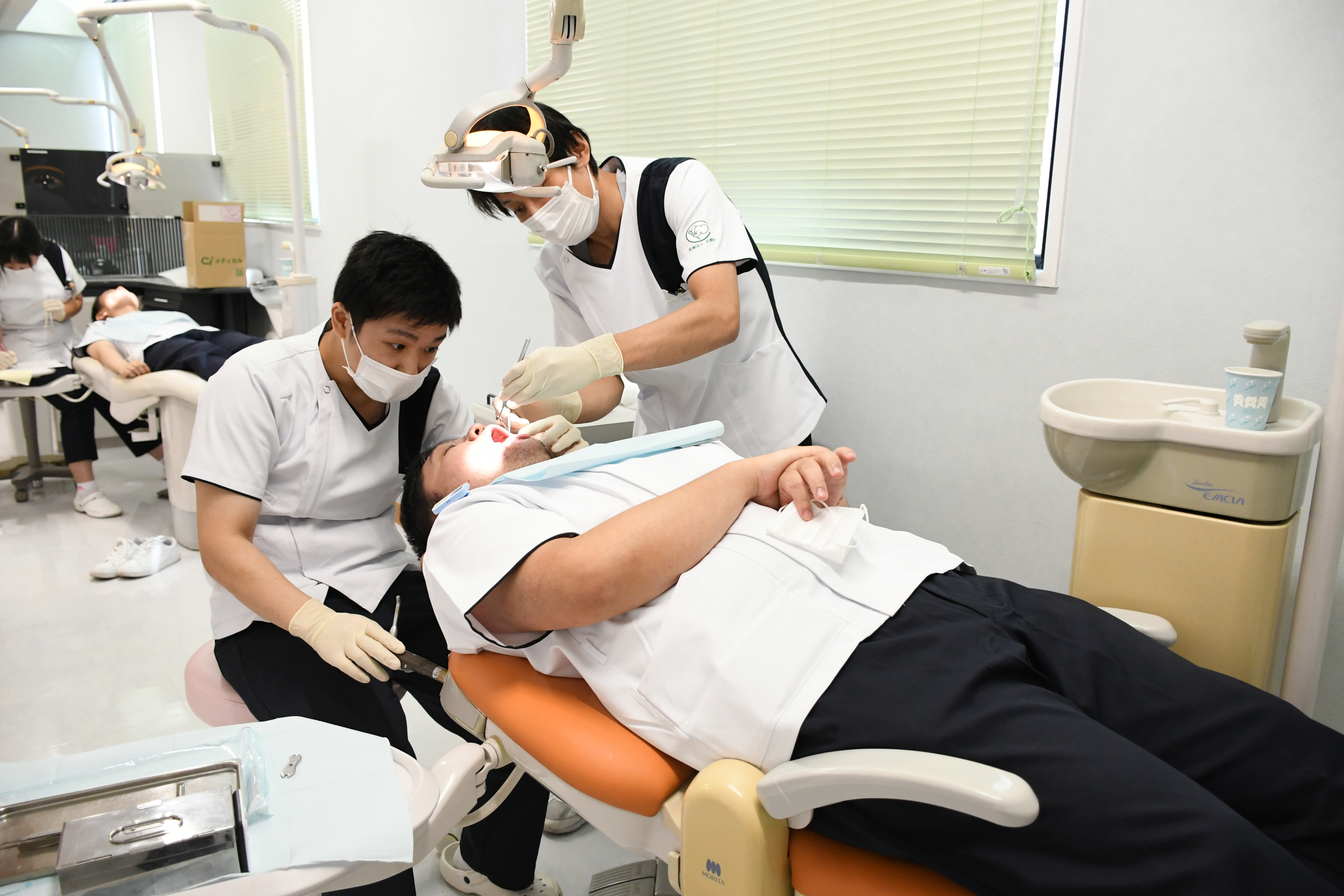 ２０２２年度第２回歯科医師向け　基礎実習セミナーが開催されました。